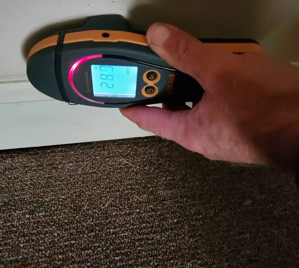 Moisture detection at baseboard during Sewage Cleanup & Sanitation in Grayson Valley